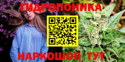 эйфоретик Пушкино