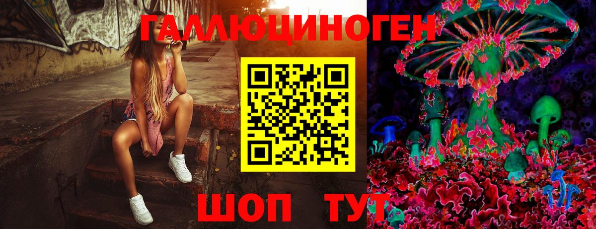 Псилоцибиновые грибы Magic Shrooms  Вход с VPN  Псилоцибиновые грибы Magic Shrooms  Новосибирск 